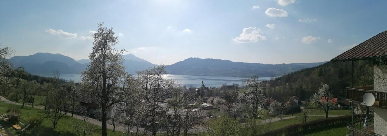 Attersee-Chalet Angermann Familie Spalt Steinbach am Attersee Exterior foto